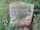 image of grave number 559063
